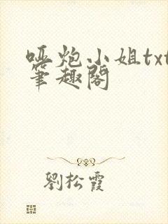 哑炮小姐txt笔趣阁