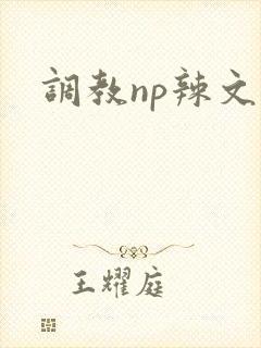 调教np辣文