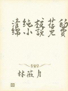 清纯校花的苏绵绵小说免费阅读