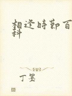 相逢时节百度百科封面