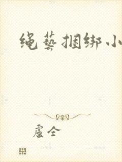 绳艺捆绑小说