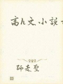 高h文小说古言封面