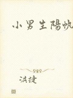 小男生阳帆