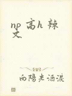 np 高h 辣文