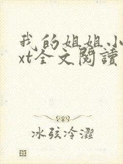 我的姐姐小说txt全文阅读封面