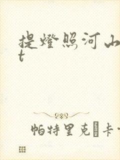 提灯照河山txt