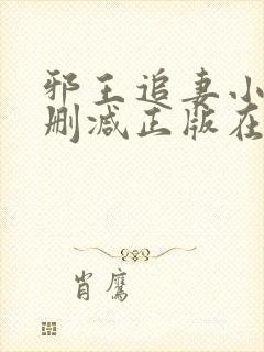 邪王追妻小说无删减正版在线阅读