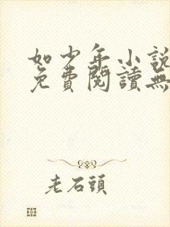 如少年小说全文免费阅读无弹窗