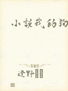 小说我的狗丈夫封面