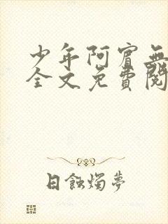 少年阿宾无删减全文免费阅读笔趣阁
