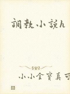 调教小说h