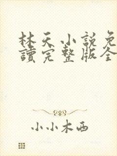 林天小说免费阅读完整版全文