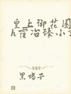 皇上御花园hlh霍冶臻小说封面