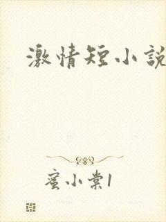 激情短小说