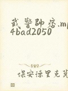 武警帅痞.mp4bad2050