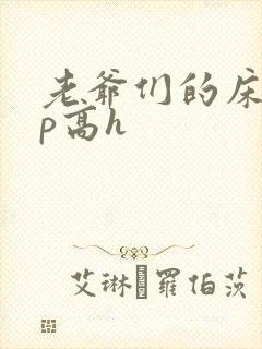 老爷们的床奴np高h