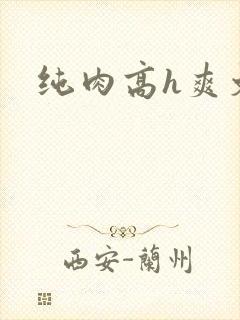 纯肉高h爽文封面