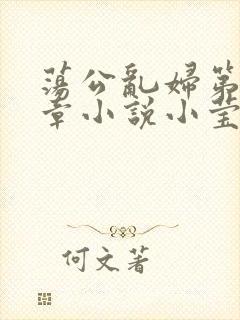 荡公乱妇第51章小说小莹