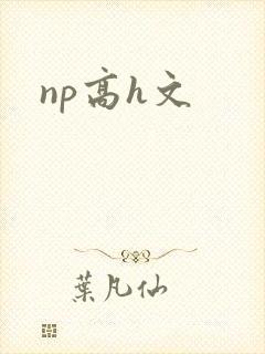 np高h文封面