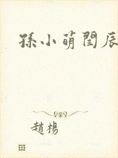 孙小萌闫辰封面