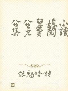 公公儿媳小说全集免费阅读姓傅