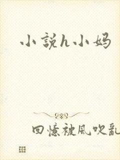 小说h小妈