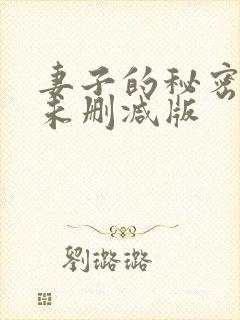 妻子的秘密电影未删减版
