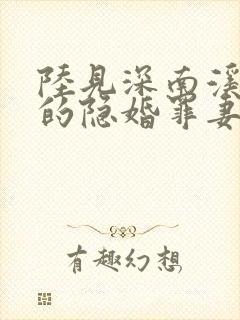 陆见深南溪陆少的隐婚罪妻