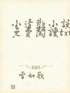 小清欢小说全文免费阅读txt