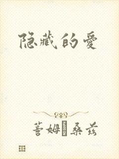 隐藏的爱封面