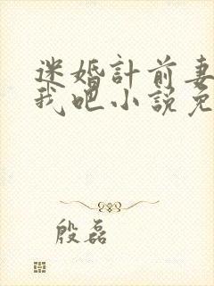 迷婚计前妻从了我吧小说免费阅读封面