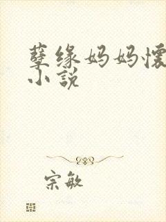 孽缘妈妈怀孕乱小说