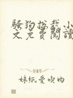 骚狗总裁小说全文免费阅读最新章节