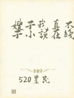 嫂子我真不是傻子小说在线阅读