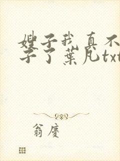 嫂子我真不是傻子了叶凡txt下载