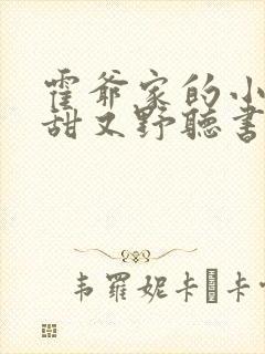 霍爷家的小祖宗甜又野听书