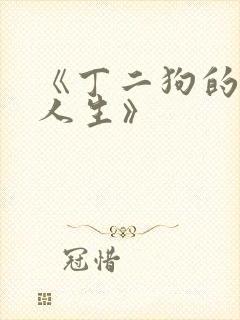 《丁二狗的逆袭人生》