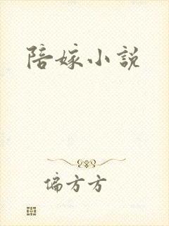 陪嫁小说封面