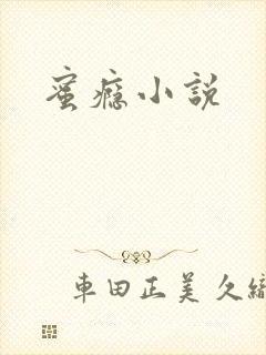蜜瘾小说