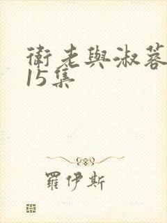 卫老与淑蓉1～15集