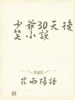 少爷30天后会笑小说