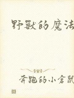 野兽的魔法师封面