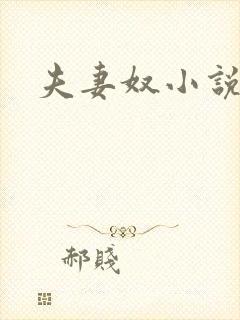 夫妻奴小说