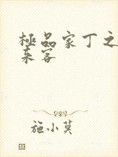 极品家丁之远方来客