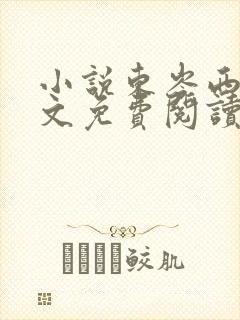 小说东岑西舅全文免费阅读