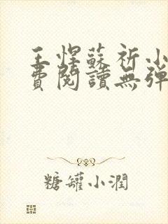 王悍苏祈小说免费阅读无弹窗