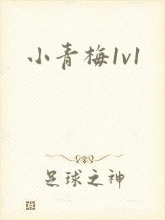 小青梅1v1