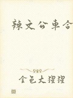 辣文公车合集封面