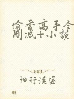 偷香高手全文无删减+小说