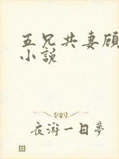 五兄共妻顾心儿小说封面